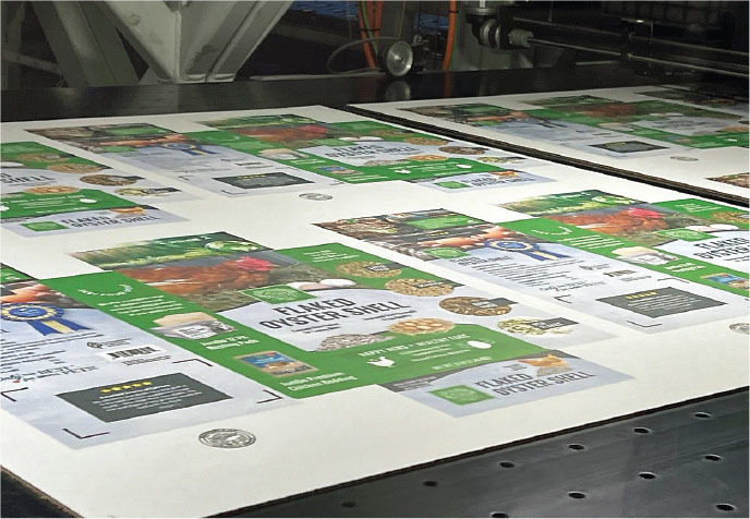 digital printing on dominos x630i corrugated box printing press