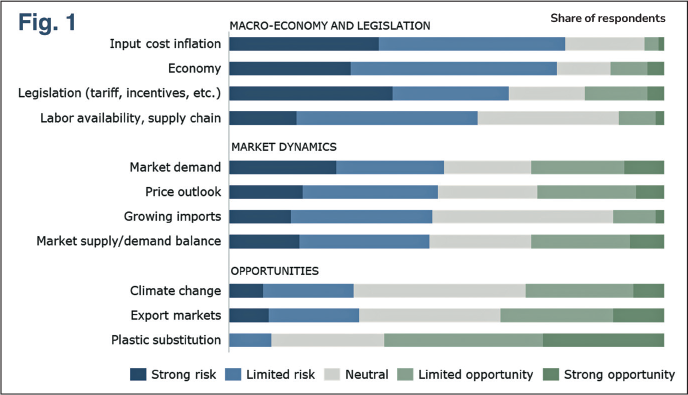 a figure perception of risks and opportunities over the next 12 months