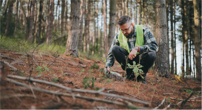 sustainability as a core strategy