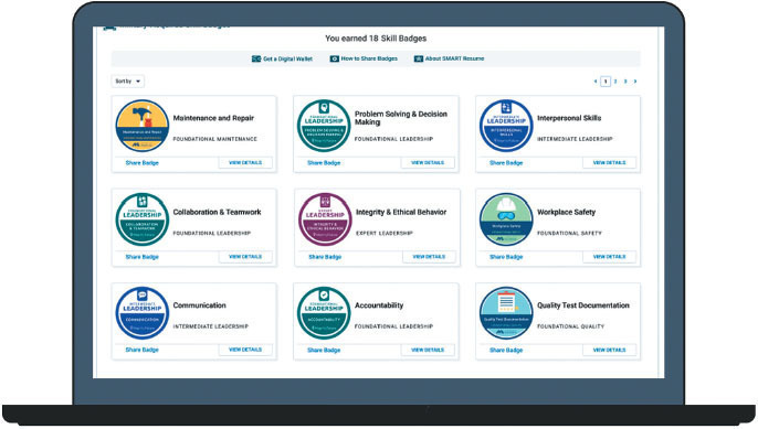 the screen illustrates a sample of badges from each of the three series
