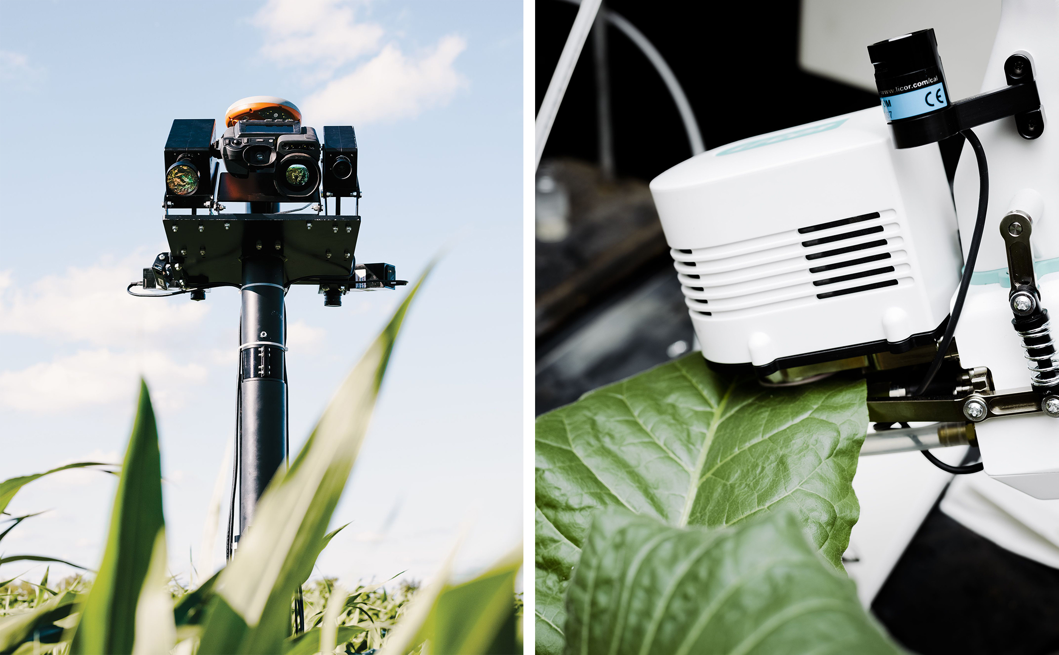 Izquierda: Este robot se mueve a través de campos para medir la biomasa y otros aspectos del crecimiento de las plantas. <br> Derecha: Este aparato, sujeto a una hoja de tabaco, analiza el metabolismo de la planta. Mide la temperatura y la humedad en la superficie de la hoja y los sifones de oxígeno y otros gases emitidos por la hoja en un analizador químico.