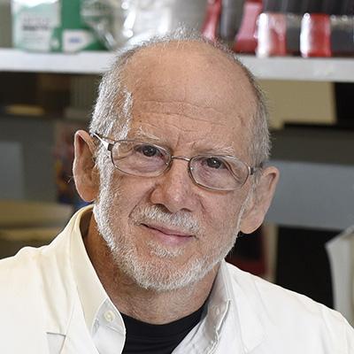 Bert Vogelstein