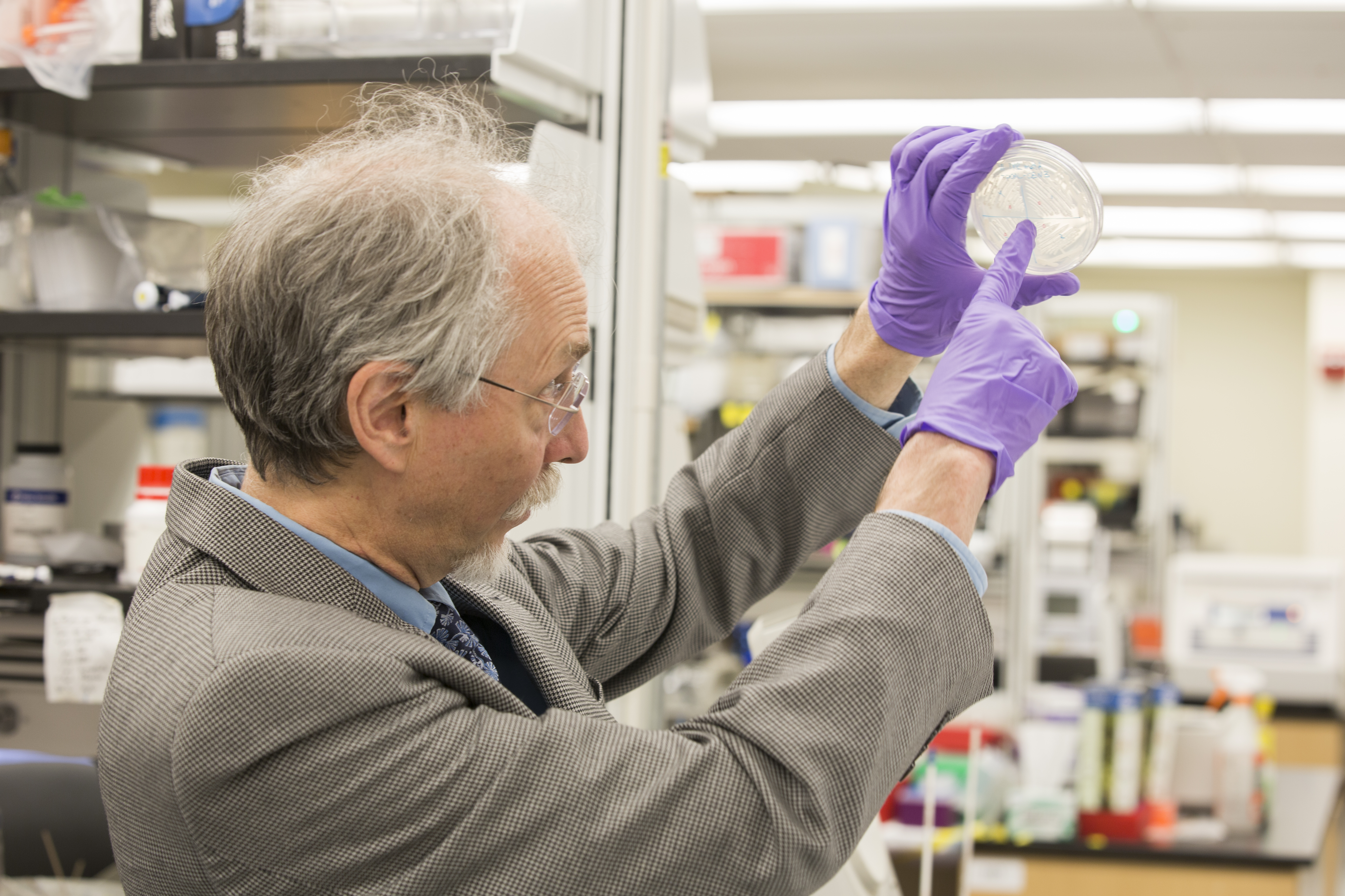 Jef Boeke lidera un esfuerzo para crear levadura con un genoma artificial.