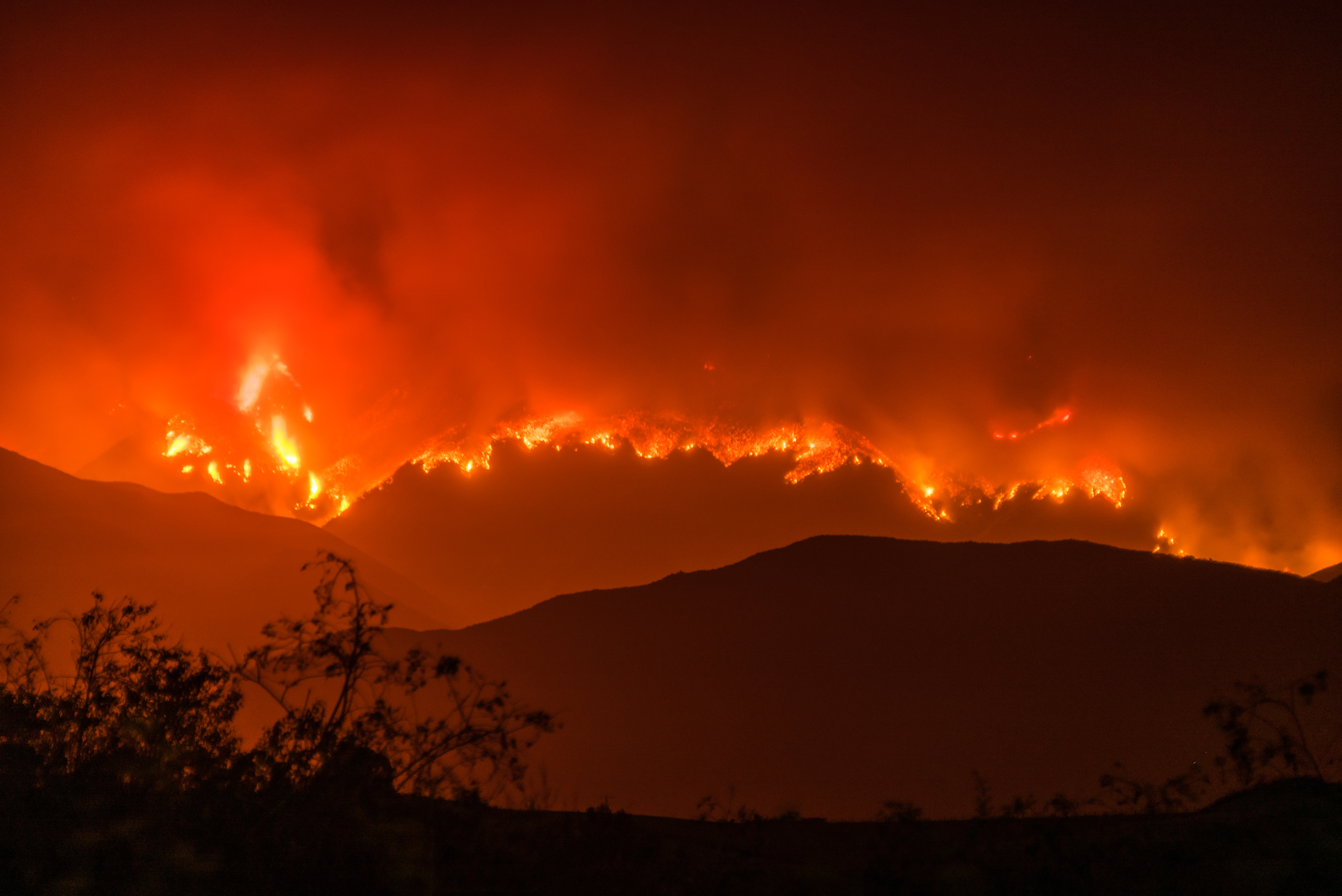 El incendio de Whittier quemó casi 20,000 acres en el condado de Santa Bárbara, California, el verano pasado.