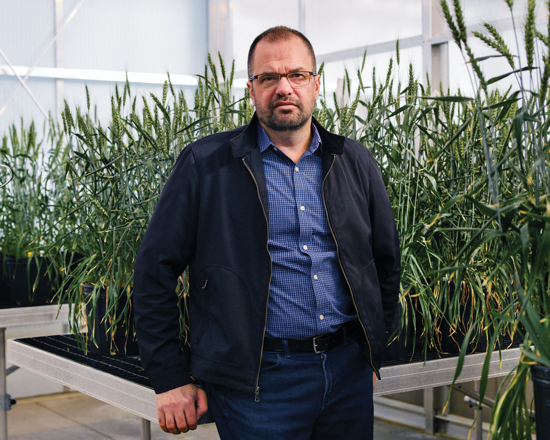 El genetista Dan Voytas de la Universidad de Minnesota desarrolla nuevas plantas usando ingeniería genética. "El genio está fuera de la botella", dice.