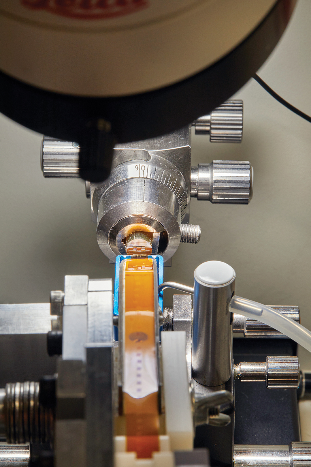 Las rebanadas cortadas del cerebro se pegan a una cinta plástica.