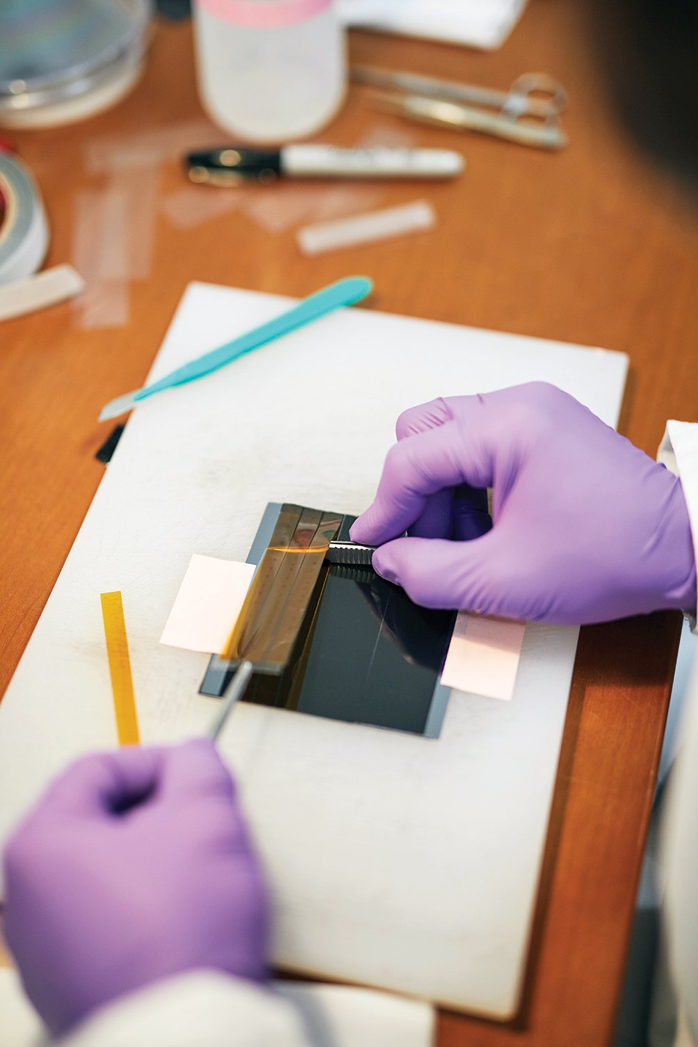 La cinta, con las muestras del cerebro unidas, se recorta y se pone en una placa de diapositivas que entrará en una máquina de exploración enorme.