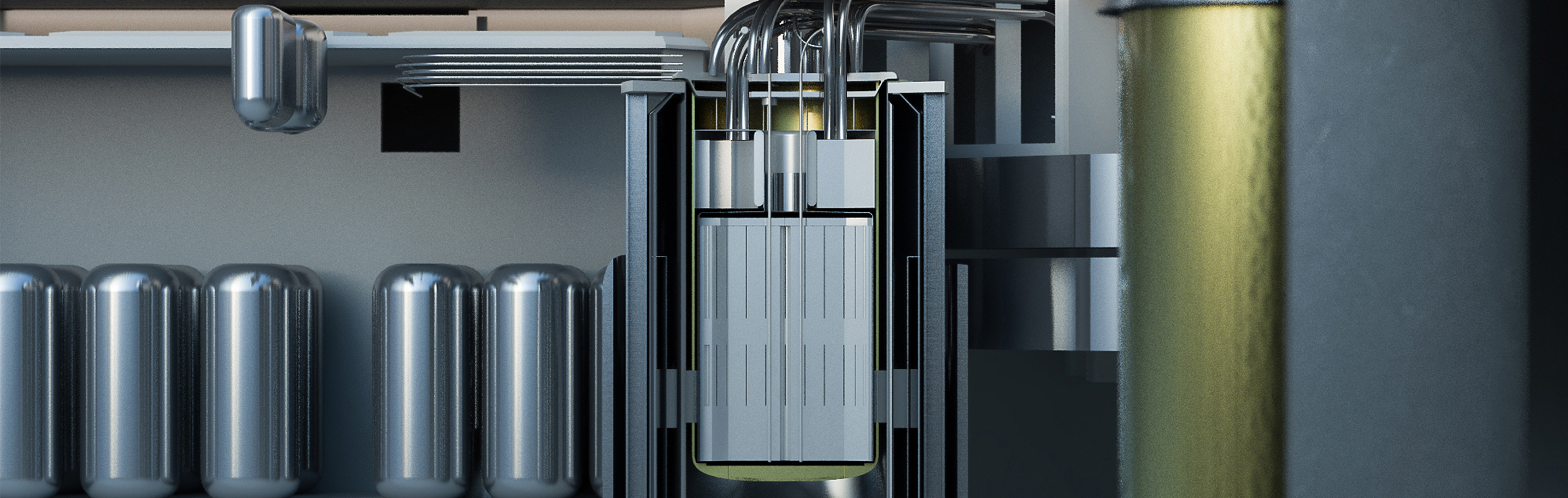 Una imagen de Terrestre