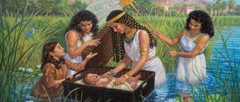 Bible Story Cards logo