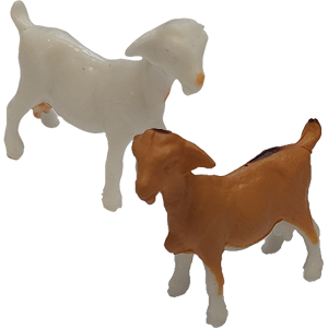 Goat, Random Thumbnail