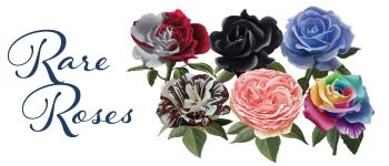 Rare Roses logo