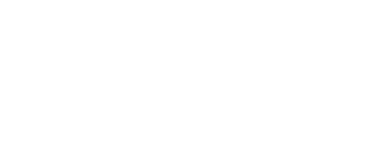 D4 Liar's Dice: 8 Player Set logo