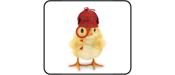 Chicken Scratch logo