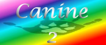Rainbow Canine 2 logo