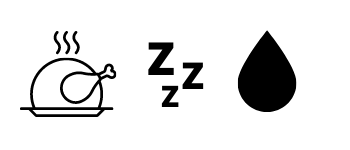 Sheep Sleep Seep - Thanksgiving logo