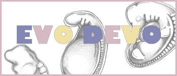 EVO DEVO (playable prototype) logo