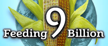 Feeding 9 Billion: The Card Game logo