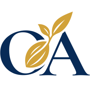 designer logo