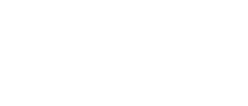 Data Fortress logo