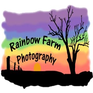 designer logo