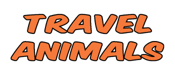 Travel Animals logo