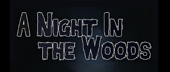 2014 Fall - A Night In The Woods