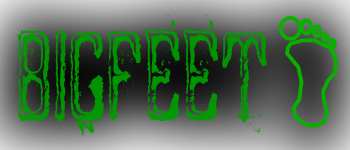 Bigfeet logo
