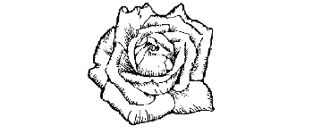The 4 Roses logo