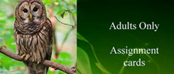 assignment cards logo