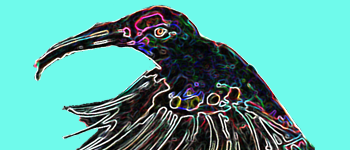 A Ess&ecirc;ncia Brilhante dos Animais logo