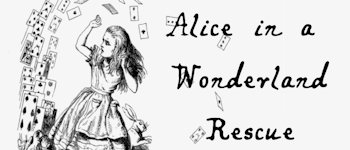 Alice in a Wonderland Rescue logo