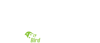 The Black Paint logo