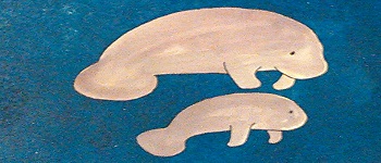 Matching Manatees logo