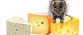 Oh! You Dirty Rat! logo