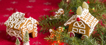 Gingerbread Friends Question Cards logo