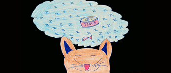 Kitten Playoffs - Tennis (travel) logo