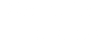 Coins for FlipTales PnP logo