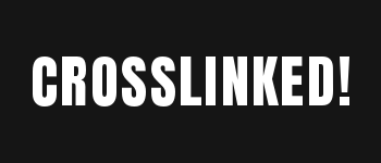 Crosslinked! A UX Storytelling & System Design Game logo