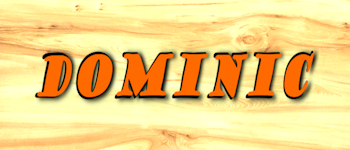 Dominic logo