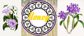 Honey logo