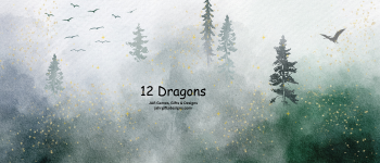 12 Dragons logo