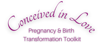Conceived in Love: Pregnancy & Birth Transformation Toolkit logo