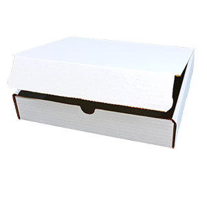 Blank Box, Prototype, Large Thumbnail