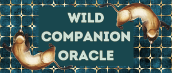 Wild Companion Oracle logo