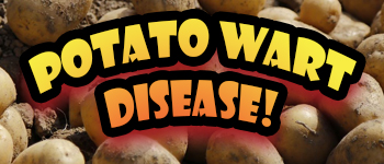 Potato Wart Disease! logo