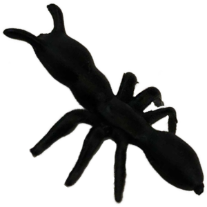 Ant Thumbnail