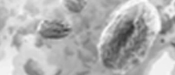 Astrum Resurrectione: The Space Party Card Game logo