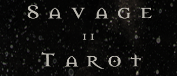 Savage Tarot II with 8x10 book logo