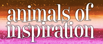 Animals of Inspiration Oracle Deck logo