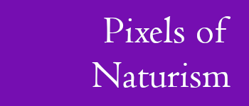Pixels of Naturism logo